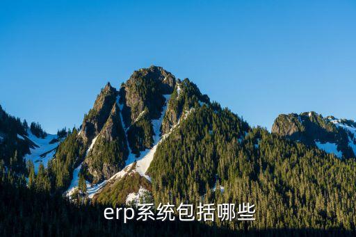  erp系统包括哪些