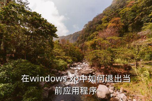 xp系统软件怎么关闭,怎么关闭电脑里的红蜘蛛软件?