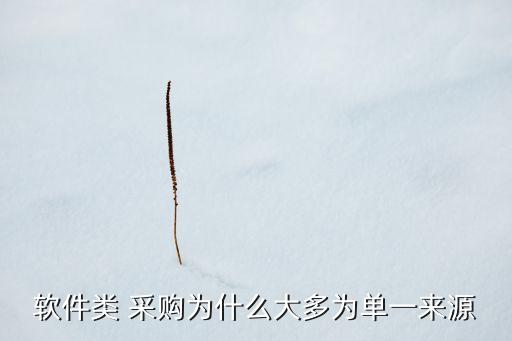 软件类 采购为什么大多为单一来源