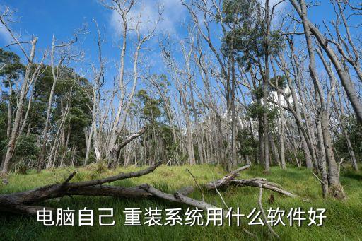 电脑自己 重装系统用什么软件好