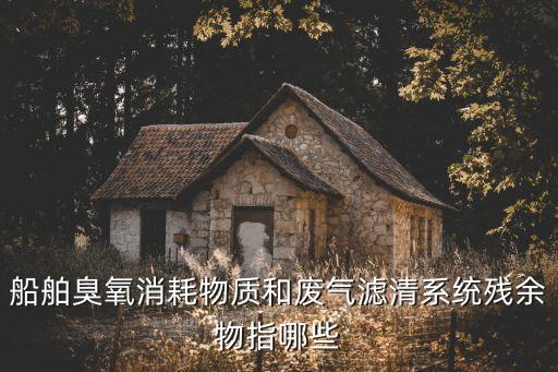 船舶臭氧消耗物质和废气滤清系统残余物指哪些