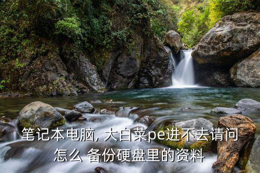 笔记本电脑, 大白菜pe进不去请问怎么 备份硬盘里的资料