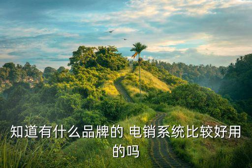 知道有什么品牌的 电销系统比较好用的吗