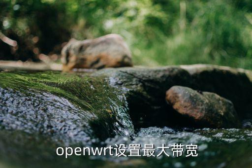 openwrt监控系统软件,怎么用openwrt查看温度系统显示三项数据