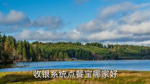  收银系统点餐宝哪家好