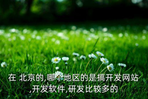 在 北京的,哪个地区的是搞开发网站,开发软件,研发比较多的