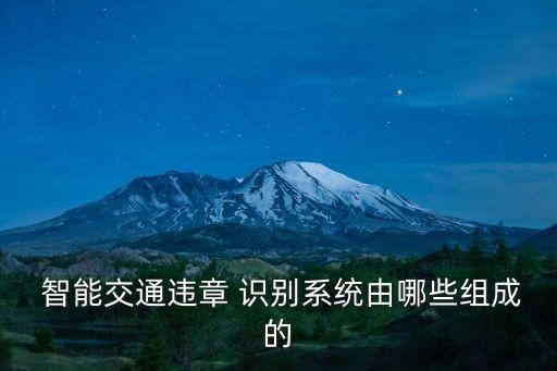 智能识别车辆管理系统软件,智能车牌自动识别系统如何管理车辆类型?