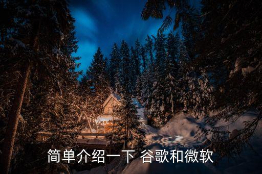 简单介绍一下 谷歌和微软