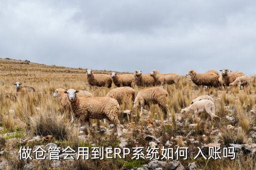 做仓管会用到ERP系统如何 入账吗