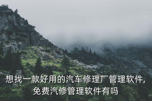 重庆维修厂系统软件,汽修财神汽修厂管理系统软件可查询维修记录吗?