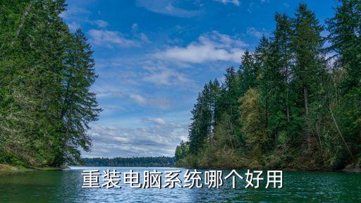  重装电脑系统哪个好用