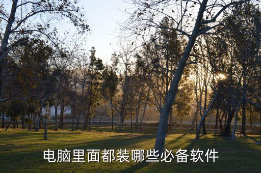 谁需要系统软件,做电脑系统需要哪些软件?