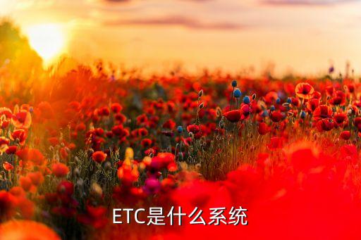 停车收费系统软件 免费,易泊智能停车场收费系统是怎么做到收费安全的?