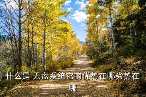 什么是 无盘系统它的优势在哪劣势在哪