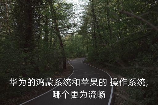 优化最好的操作系统软件,电脑内存优化用什么软件最好?