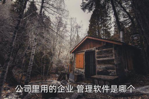 公司管理的系统软件起名,公司怎么起名?