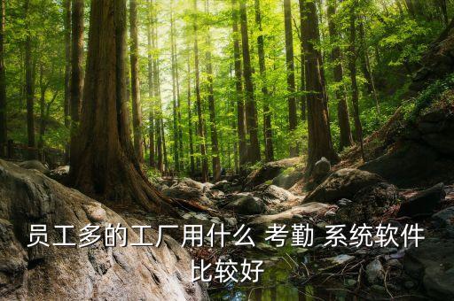 前端考勤管理系统软件,考勤管理系统怎么用?