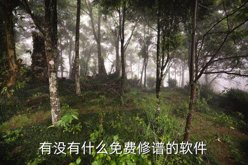 有没有什么免费修谱的软件