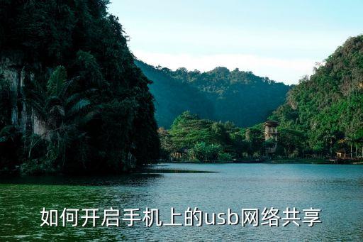 如何开启手机上的usb网络共享