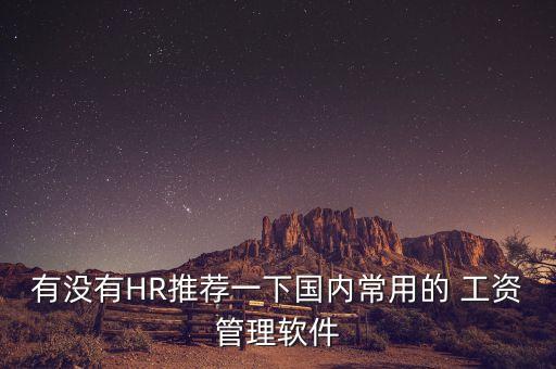 有没有HR推荐一下国内常用的 工资管理软件
