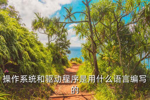操作系统和驱动程序是用什么语言编写的
