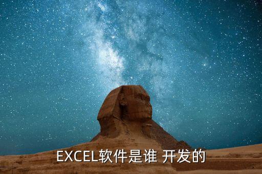 EXCEL软件是谁 开发的