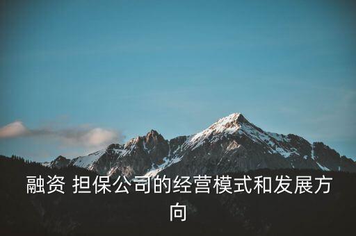  融资 担保公司的经营模式和发展方向