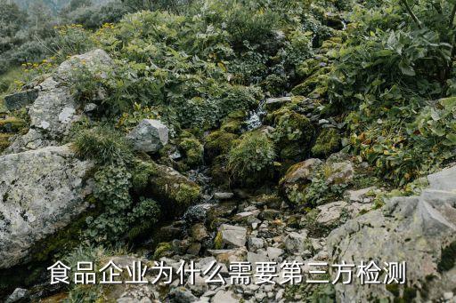 河南餐饮监测系统软件下载