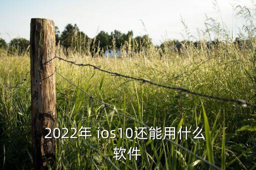 2022年 ios10还能用什么 软件