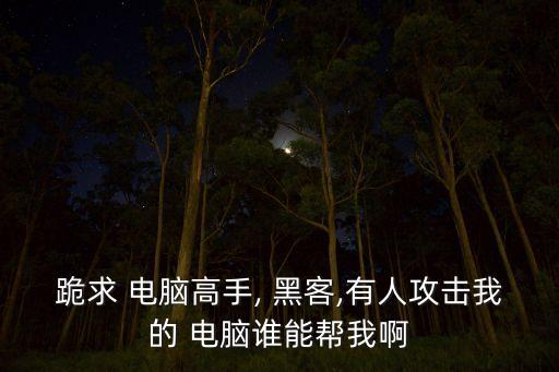 跪求 电脑高手, 黑客,有人攻击我的 电脑谁能帮我啊
