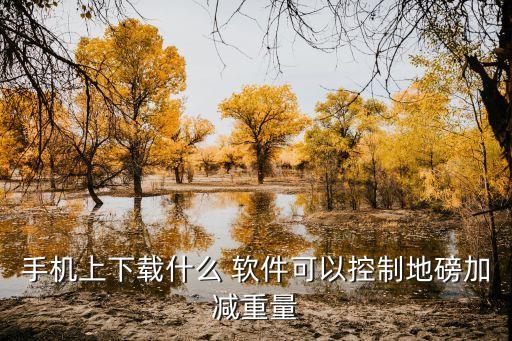 手机上下载什么 软件可以控制地磅加减重量