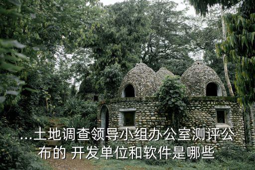 ...土地调查领导小组办公室测评公布的 开发单位和软件是哪些