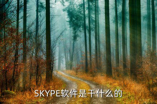 skype是什么系统软件吗,skype是怎么一回事?