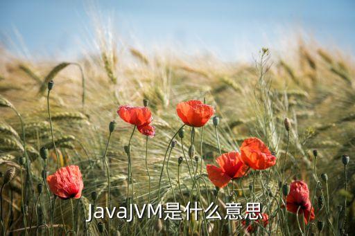 JavaJVM是什么意思