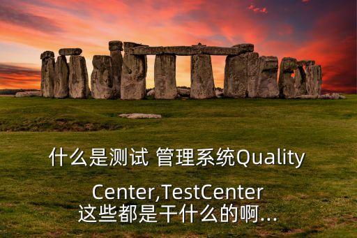 什么是测试 管理系统QualityCenter,TestCenter这些都是干什么的啊...