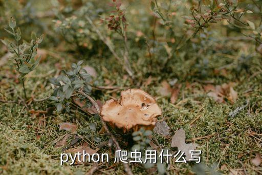 python 爬虫用什么写