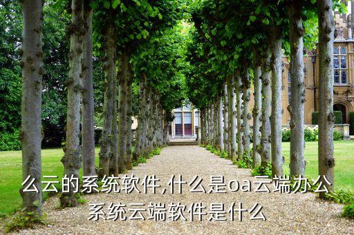叫什么云的系统软件,什么是oa云端办公系统?云端软件是什么?