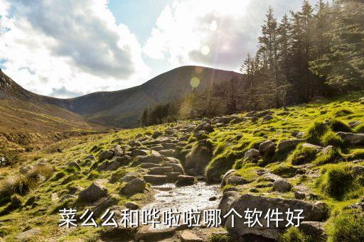 菜么么和哗啦啦哪个软件好