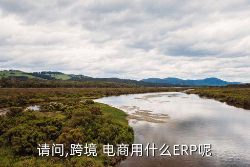 请问,跨境 电商用什么ERP呢