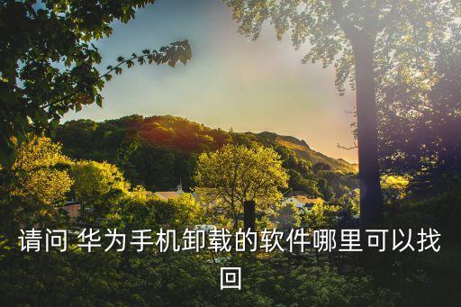 请问 华为手机卸载的软件哪里可以找回
