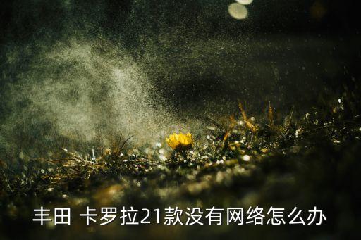 丰田 卡罗拉21款没有网络怎么办