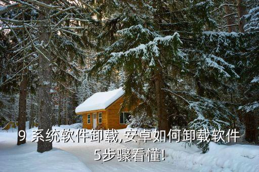 安卓9 系统软件卸载,安卓如何卸载软件?5步骤看懂!