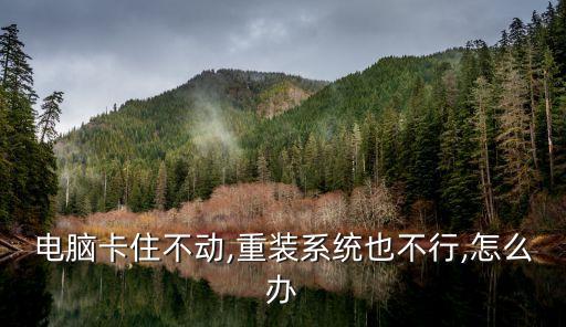 电脑卡住不动,重装系统也不行,怎么办
