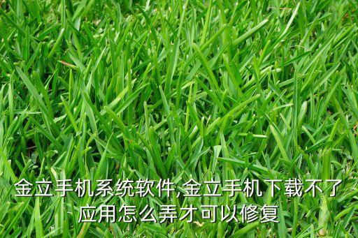 修复金立手机系统软件,金立手机下载不了应用怎么弄才可以修复?