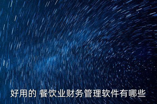 好用的 餐饮业财务管理软件有哪些