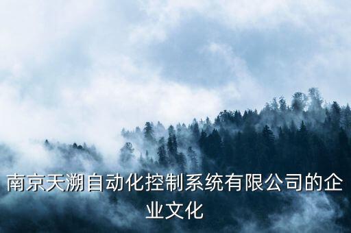 南京天溯自动化控制系统有限公司的企业文化
