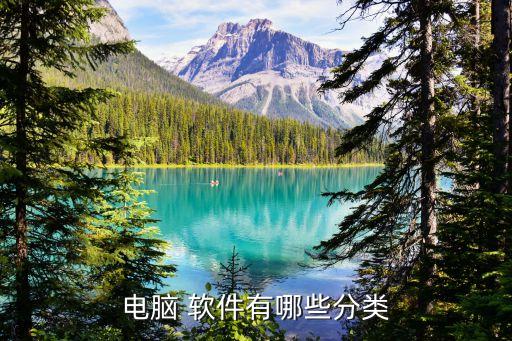 电脑 软件有哪些分类
