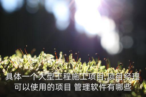 具体一个大型工程施工项目,项目经理可以使用的项目 管理软件有哪些