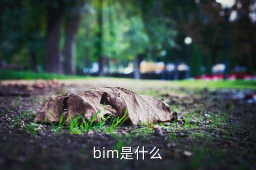 bim是什么