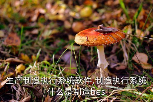 长沙生产制造执行系统软件,制造执行系统什么是制造bes?